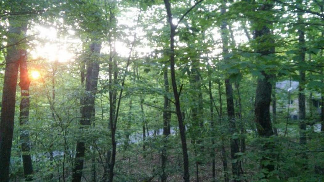 Wintergreen Mount Torry Furnace Экстерьер фото